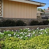 Custom Masonry Wainscot - Eldorado Ledgestone
